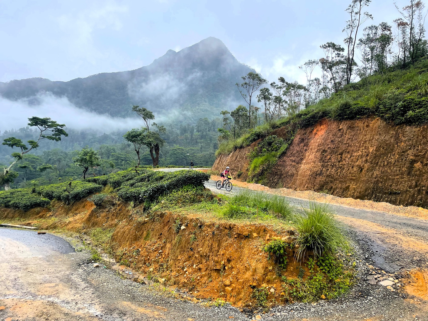 Photos from our Sri Lanka - Classic Cycling Holiday